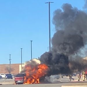 Meet your Posher, Luis